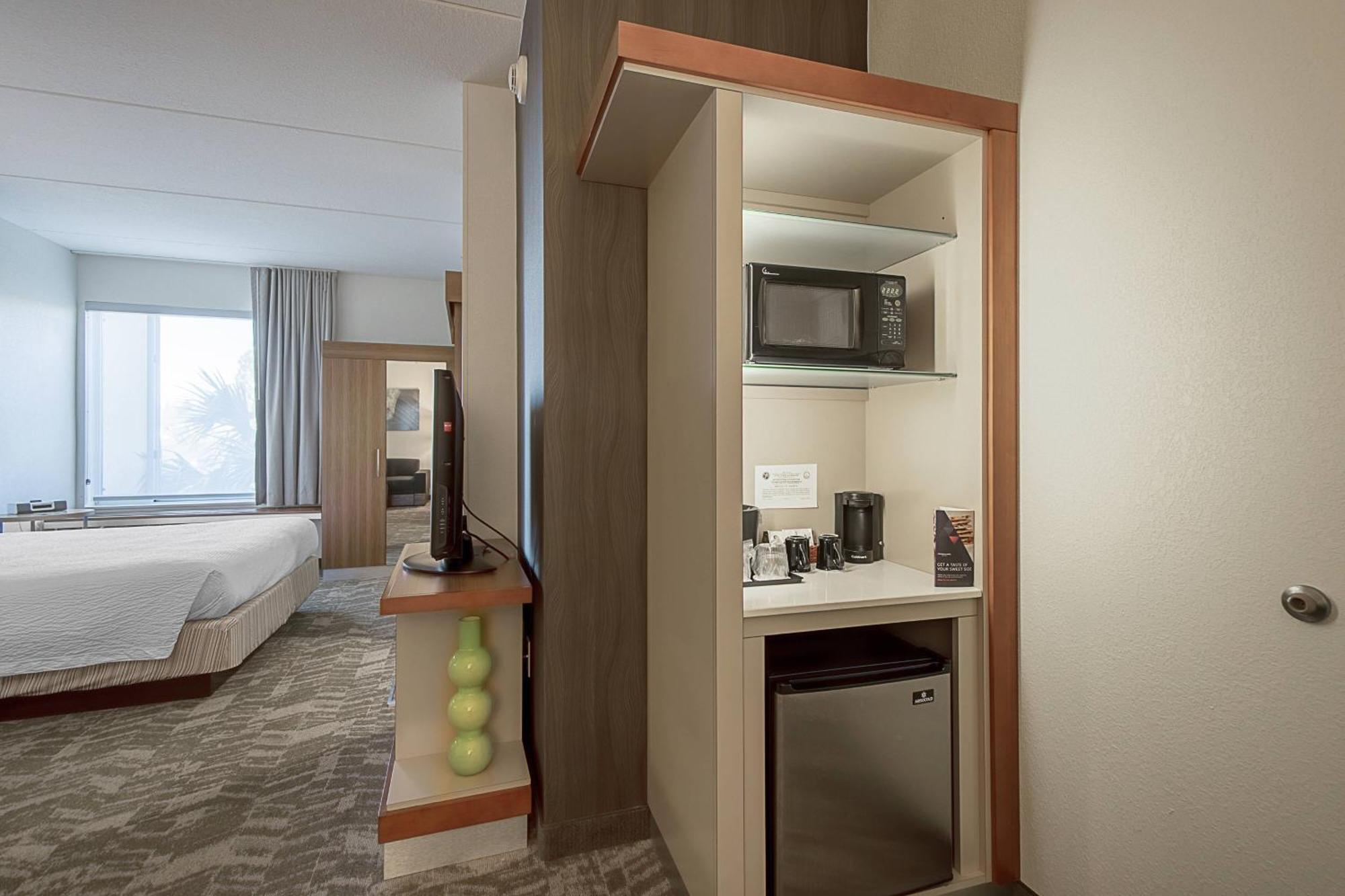 Springhill Suites Tampa North/Tampa Palms Exterior foto